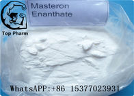 Enanthate estándar 303-42-4 C27H42O3 CAS 303-42-4 de Primobolan Methenolone de la empresa
