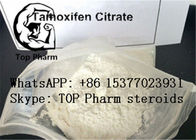 Citrato masculino Tamofen Nolva del Tamoxifen de los esteroides del aumento de CAS 54965-24-1