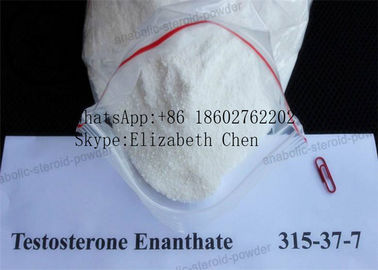 Polvo blanco de la pureza de Enanthate CAS 315-37-7 el 99% de la testosterona del polvo del aumento del músculo