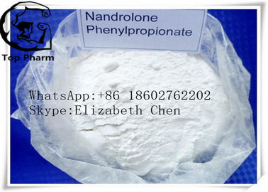 Nandrolone Phenylpropionate/NPP CAS 62-90-8 de la dosificación de la pureza del 99% para el cuerpo constructivo   Poder blanco