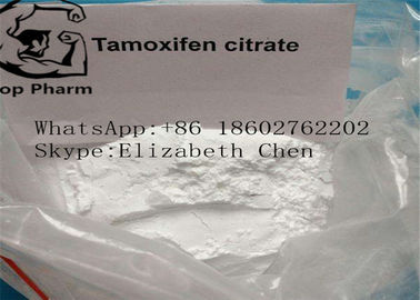 El Tamoxifen masculino de los esteroides del aumento de CAS 54965-24-1 trata con citrato el polvo blanco de Tamofen Nolva