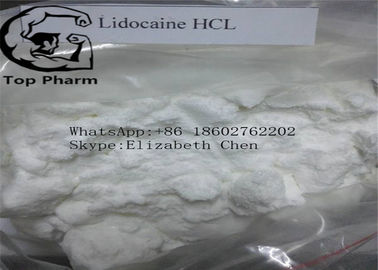 Polvo blanco farmacéutico de las materias primas de la droga del analgésico de CAS 73-78-9 del clorhidrato de la lidocaína